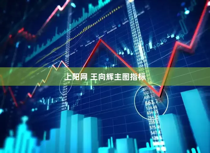 上阳网 王向辉主图指标