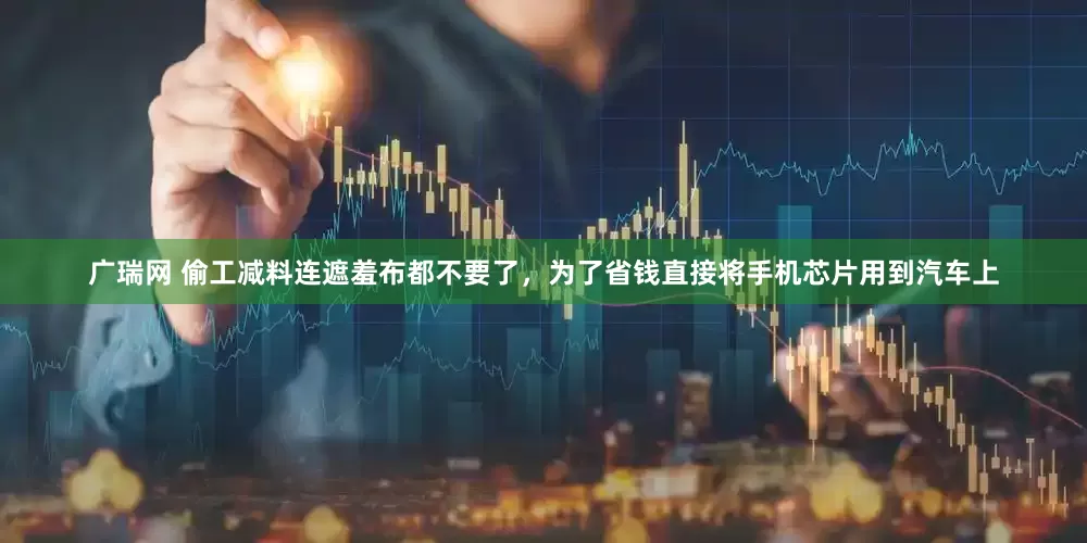 广瑞网 偷工减料连遮羞布都不要了，为了省钱直接将手机芯片用到汽车上