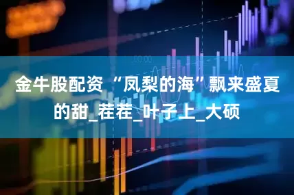 金牛股配资 “凤梨的海”飘来盛夏的甜_茬茬_叶子上_大硕